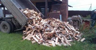 Никакого обмана: как посчитать объем дров без извлечения их из кузова грузовика - lifehelper.one