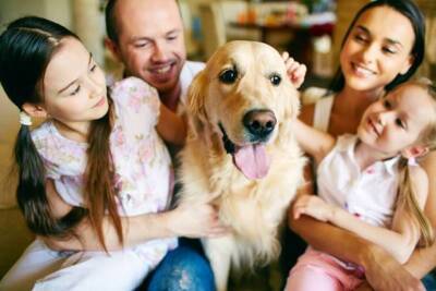 ​Выбираем собаку для семейного счастья - lifehelper.one