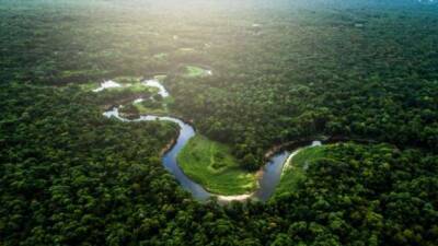 На столько ли опасна самая длинная река в мире Амазонка - chert-poberi.ru - Колумбия - Бразилия - Эквадор - Боливия