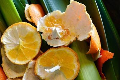 Апельсиновые корки – польза для сада и огорода, особенности применения на даче - sadogorod.club