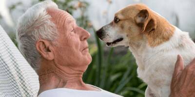 «Старикам не надо водить собак»: аккуратнее в выражениях, господа эксперты! - mur.tv