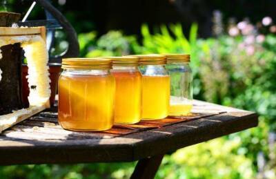 Как отличить натуральный мед от подделки: 4 простых способа - lifehelper.one