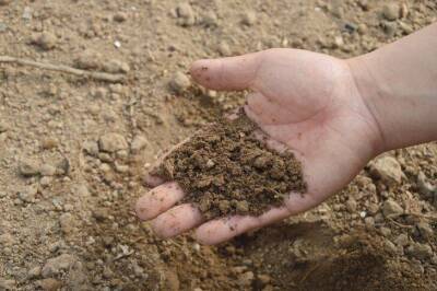 Что делать, если почва на участке плотная, как бетон: полезные подсказки огородникам - sadogorod.club