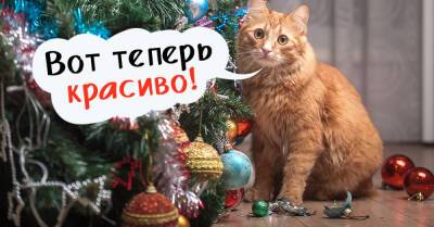 Что делать с новогодней елкой хозяевам, у которых в доме обитает пушистая и любопытная кошачья мордашка - takprosto.cc