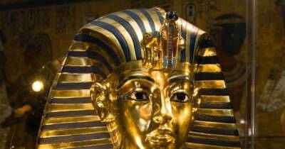 На ВДНХ открывается выставка «Сокровища гробницы Тутанхамона» - 7days.ru - Россия - Москва - Англия - Египет