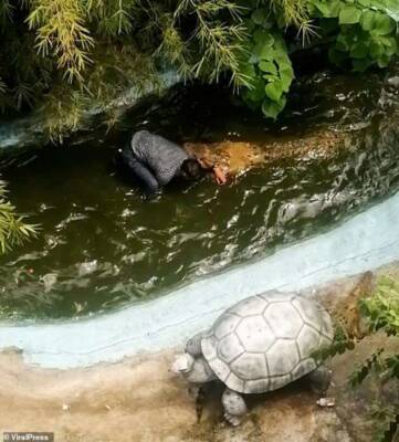 Посетитель тематического парка серьезно ранен крокодилом, которого он принял за пластиковую модель - chert-poberi.ru - Филиппины