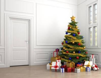 Когда лучше всего ставить и украшать елку к Новому году? - shkolazhizni.ru