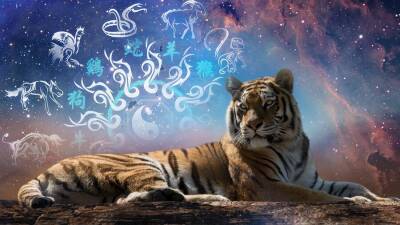 Восточный гороскоп на 2022 год - Год Черного (Голубого) Водяного Тигра. Предсказания по году рождения - prelest.com