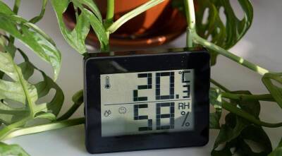Какая температура нужна комнатным растениям? - sadogorod.club - Россия