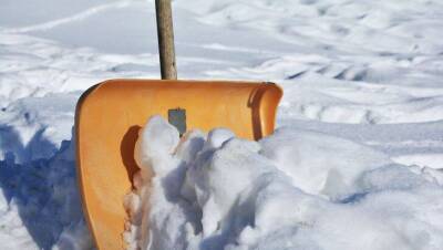 Как быстро убрать снег на даче: что нужно нанести на лопату - sadogorod.club