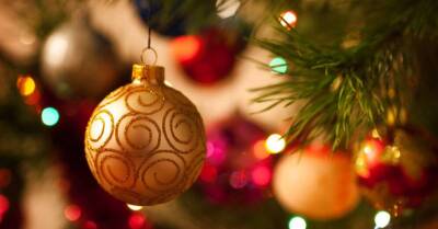 12 секретов, которые нужно знать при покупке новогодней елки - sadogorod.club