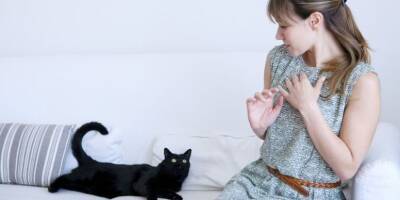 Новое исследование: стало известно, почему кошки выбирают людей, которые их недолюбливают - mur.tv - Россия