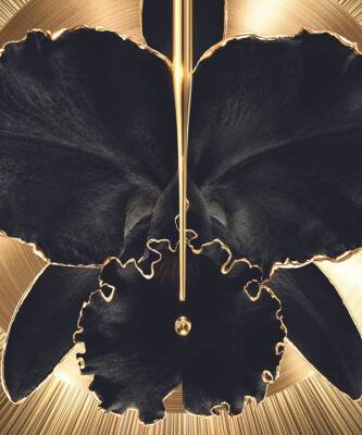 Самая дорогая сыворотка с черной орхидеей Guerlain, которая сделает кожу на 5 лет моложе - elle.ru
