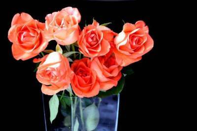 3 неприхотливых комнатных цветка, которые цветут даже у тех, кто загубил пластиковый кактус - sadogorod.club