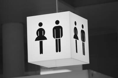 Новосибирский депутат не одобрил открытие гендерно-нейтрального туалета в гимназии - fokus-vnimaniya.com - Новосибирск - Кемерово
