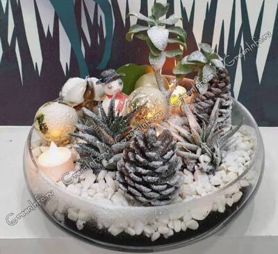 Новогодние мини-садики из комнатных растений - sadogorod.club