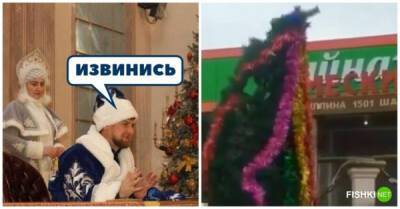 Чеченца заставили "извиняться" перед кривой ёлкой, которую он высмеял в соцсетях - porosenka.net - республика Чечня