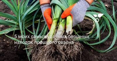5 моих самых удачных овощных находок прошлого сезона - sadogorod.club