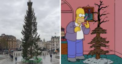 Британцы высмеяли в Твиттере рождественскую елку, подаренную Норвегией - porosenka.net - Норвегия