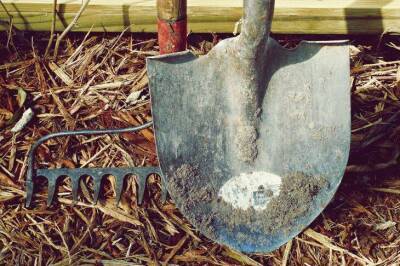 Чем обработать черенок лопаты, чтобы не было мозолей во время копки огорода - lifehelper.one