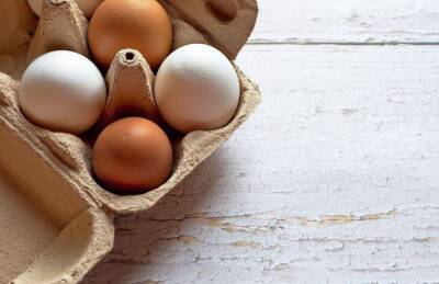 Как улучшить состояние кожи с помощью обычных яиц: полезные хитрости - lifehelper.one