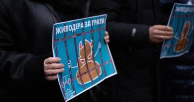 “Все дела о жестоком обращении с животными примерно так и проходят”: основатель UAnimals про оправдание судом Святогора - womo.ua - Киев