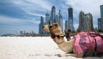 Не только суббота и воскресенье: в ОАЭ станут больше отдыхать - fokus-vnimaniya.com - Эмираты