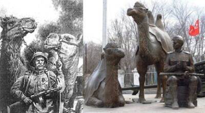 Как верблюды помогали Красной армии в годы Великой Отечественной войны: Победа на горбах - mur.tv