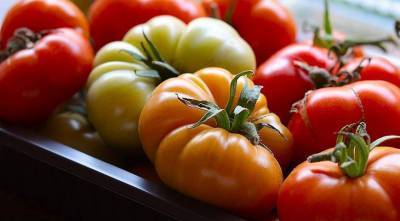 Лучшие сорта томатов: самые сладкие, крупные и мясистые помидоры для еды в свежем виде - sadogorod.club