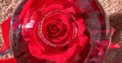 «Магический» шар с розой — самый трендовый подарок на День святого Валентина - wmj.ru