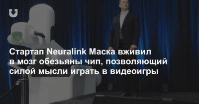 Илона Маска - Илон Маск - Стартап Neuralink Маска вживил в мозг обезьяны чип, позволяющий силой мысли играть в видеоигры - mur.tv