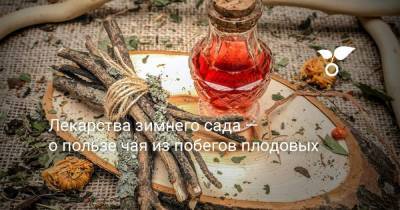 Лекарства зимнего сада — о пользе чая из побегов плодовых - sadogorod.club