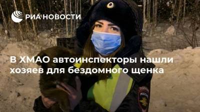 В ХМАО автоинспекторы нашли хозяев для бездомного щенка - mur.tv - Россия - округ Югра - Ханты-Мансийск