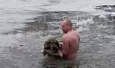 Волгоградец вытащил на берег провалившуюся под лед собаку - mur.tv