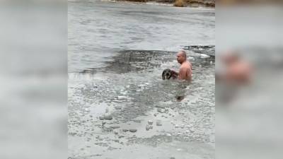 “Ледокол пришел”: тонущую собаку спас “морж”. Видео - mur.tv - Волгоград
