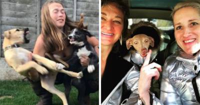 Пользователи сети решили показать семейные фото с собаками. И они любой снимок сделают незабываемым! - mur.tv