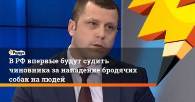 Евгений Петрюк - ВРФ впервые будут судить чиновника занападение бродячих собак налюдей - mur.tv - Красноярск