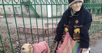 Пес-помощник: в Запорожье собака носит сумки своей старенькой хозяйки - mur.tv - Запорожье - Турция