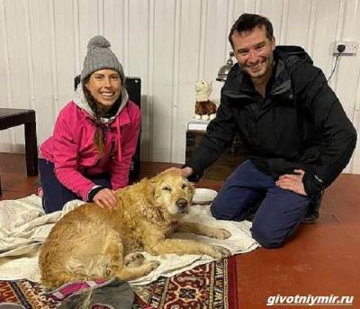 История о собаке, которую отыскали в горах спустя две недели - mur.tv