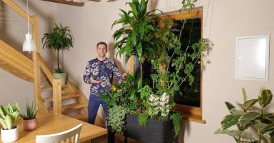 Советы специалиста: как самостоятельно создать идеальную почву для комнатных растений - sadogorod.club