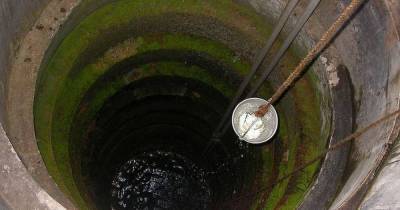 5 действенных способов проверить качество воды в дачном колодце - lifehelper.one