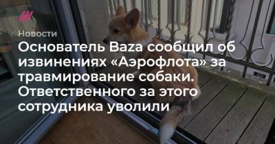 Никита Могутин - Основатель Baza сообщил об извинениях Аэрофлота за травмирование собаки. Ответственного за этого сотрудника уволили - mur.tv - Москва - Стамбул