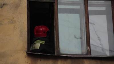 При пожаре в Купчино из огня спасли двух женщин и собаку - mur.tv - Санкт-Петербург