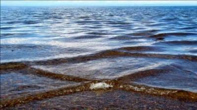 Квадратные волны: какую угрозу таит в себе «море в клеточку» (6 фото) - chert-poberi.ru