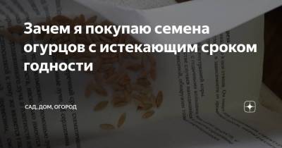 Семен Огурцов - Зачем я покупаю семена огурцов с истекающим сроком годности - sadogorod.club