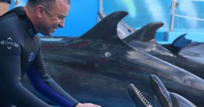 Виктор Павлик - Екатерина Репяхова - 55-летний Виктор Павлик верхом на дельфинах шокировал трюками - mur.tv - Украина - Одесса