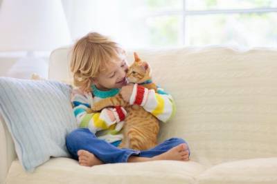 Ваш малыш подрос: как подружить его с кошкой - mur.tv