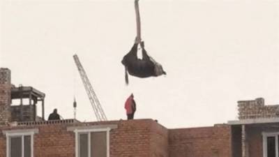 Летящая корова: в Нур-Султане животное краном подняли на крышу видео - mur.tv