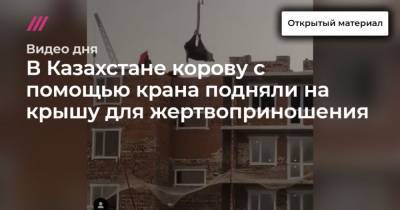 В Казахстане корову с помощью крана подняли на крышу для жертвоприношения - mur.tv - Казахстан