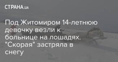Под Житомиром 14-летнюю девочку везли к больнице на лошадях. “Скорая” застряла в снегу - mur.tv - Житомир - Житомирская обл.